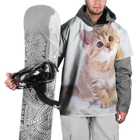 Накидка на куртку 3D с принтом Любопытный котенок в Тюмени, 100% полиэстер |  | грустный | добрый | животное | киса | киска кися | кот | котенок | котэ | кошка | красивый | лапа | лапка | ласковый | милый | моська | мурлыка | прикольный | смешной | унылый | усатый | шерсть