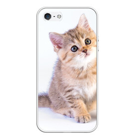 Чехол для iPhone 5/5S матовый с принтом Любопытный котенок в Тюмени, Силикон | Область печати: задняя сторона чехла, без боковых панелей | грустный | добрый | животное | киса | киска кися | кот | котенок | котэ | кошка | красивый | лапа | лапка | ласковый | милый | моська | мурлыка | прикольный | смешной | унылый | усатый | шерсть