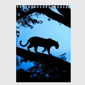 Скетчбук с принтом Чёрная пантера в Тюмени, 100% бумага
 | 48 листов, плотность листов — 100 г/м2, плотность картонной обложки — 250 г/м2. Листы скреплены сверху удобной пружинной спиралью | африка | вечер | дерево | дикая кошка | закат | леопард | сафари | ягуар
