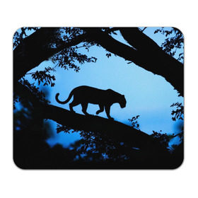 Коврик прямоугольный с принтом Чёрная пантера в Тюмени, натуральный каучук | размер 230 х 185 мм; запечатка лицевой стороны | африка | вечер | дерево | дикая кошка | закат | леопард | сафари | ягуар