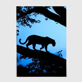 Постер с принтом Чёрная пантера в Тюмени, 100% бумага
 | бумага, плотность 150 мг. Матовая, но за счет высокого коэффициента гладкости имеет небольшой блеск и дает на свету блики, но в отличии от глянцевой бумаги не покрыта лаком | африка | вечер | дерево | дикая кошка | закат | леопард | сафари | ягуар