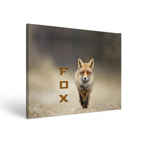 Холст прямоугольный с принтом Рыжий лис (fox) в Тюмени, 100% ПВХ |  | fox | животное | зверь | красивая | лес | лис | лиса | лисенок | лисица | лисичка | мех | патрикеевна | песец | плутовка | прикольная | природа | рыжая | рыжий цвет | сказка | хвост | хитрая | хищник
