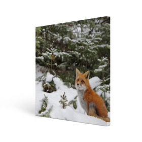 Холст квадратный с принтом Лиса в зимнем лесу в Тюмени, 100% ПВХ |  | fox | животное | зверь | красивая | лес | лис | лиса | лисенок | лисица | лисичка | мех | патрикеевна | песец | плутовка | прикольная | природа | рыжая | рыжий цвет | сказка | хвост | хитрая | хищник