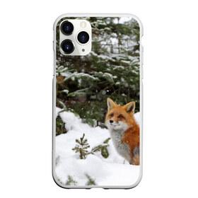 Чехол для iPhone 11 Pro матовый с принтом Лиса в зимнем лесу в Тюмени, Силикон |  | Тематика изображения на принте: fox | животное | зверь | красивая | лес | лис | лиса | лисенок | лисица | лисичка | мех | патрикеевна | песец | плутовка | прикольная | природа | рыжая | рыжий цвет | сказка | хвост | хитрая | хищник