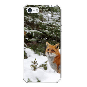 Чехол для iPhone 5/5S матовый с принтом Лиса в зимнем лесу в Тюмени, Силикон | Область печати: задняя сторона чехла, без боковых панелей | fox | животное | зверь | красивая | лес | лис | лиса | лисенок | лисица | лисичка | мех | патрикеевна | песец | плутовка | прикольная | природа | рыжая | рыжий цвет | сказка | хвост | хитрая | хищник