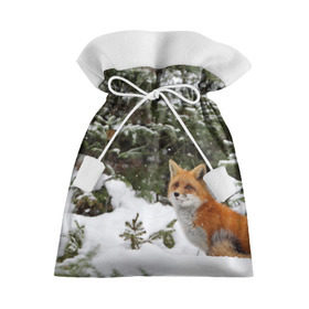 Подарочный 3D мешок с принтом Лиса в зимнем лесу в Тюмени, 100% полиэстер | Размер: 29*39 см | Тематика изображения на принте: fox | животное | зверь | красивая | лес | лис | лиса | лисенок | лисица | лисичка | мех | патрикеевна | песец | плутовка | прикольная | природа | рыжая | рыжий цвет | сказка | хвост | хитрая | хищник