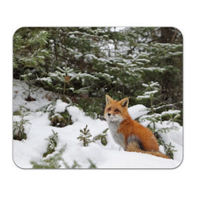 Коврик прямоугольный с принтом Лиса в зимнем лесу в Тюмени, натуральный каучук | размер 230 х 185 мм; запечатка лицевой стороны | Тематика изображения на принте: fox | животное | зверь | красивая | лес | лис | лиса | лисенок | лисица | лисичка | мех | патрикеевна | песец | плутовка | прикольная | природа | рыжая | рыжий цвет | сказка | хвост | хитрая | хищник