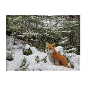 Обложка для студенческого билета с принтом Лиса в зимнем лесу в Тюмени, натуральная кожа | Размер: 11*8 см; Печать на всей внешней стороне | fox | животное | зверь | красивая | лес | лис | лиса | лисенок | лисица | лисичка | мех | патрикеевна | песец | плутовка | прикольная | природа | рыжая | рыжий цвет | сказка | хвост | хитрая | хищник
