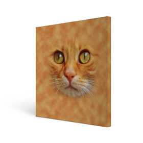 Холст квадратный с принтом Котик в Тюмени, 100% ПВХ |  | животные | кот | котенок | котик | кошка
