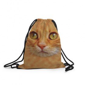 Рюкзак-мешок 3D с принтом Котик в Тюмени, 100% полиэстер | плотность ткани — 200 г/м2, размер — 35 х 45 см; лямки — толстые шнурки, застежка на шнуровке, без карманов и подкладки | животные | кот | котенок | котик | кошка
