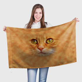 Флаг 3D с принтом Котик в Тюмени, 100% полиэстер | плотность ткани — 95 г/м2, размер — 67 х 109 см. Принт наносится с одной стороны | животные | кот | котенок | котик | кошка