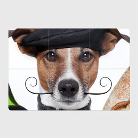 Магнитный плакат 3Х2 с принтом Джек рассел - мексиканец в Тюмени, Полимерный материал с магнитным слоем | 6 деталей размером 9*9 см | Тематика изображения на принте: джек | любимец | пес | песик | питомец | рассел | собака | собаки | собачка | терьер