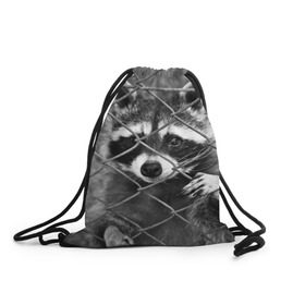 Рюкзак-мешок 3D с принтом Свободу Енотам в Тюмени, 100% полиэстер | плотность ткани — 200 г/м2, размер — 35 х 45 см; лямки — толстые шнурки, застежка на шнуровке, без карманов и подкладки | raccoon | енот
