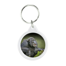 Брелок круглый с принтом Шимпанзе в Тюмени, пластик и полированная сталь | круглая форма, металлическое крепление в виде кольца | животные | обезьяна 