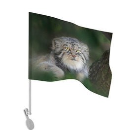 Флаг для автомобиля с принтом Манул в Тюмени, 100% полиэстер | Размер: 30*21 см | всеядный | детеныш | дикие | животные | звери | зверята | кот | манул | медведь | хищник