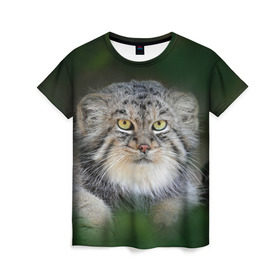 Женская футболка 3D с принтом Манул в Тюмени, 100% полиэфир ( синтетическое хлопкоподобное полотно) | прямой крой, круглый вырез горловины, длина до линии бедер | всеядный | детеныш | дикие | животные | звери | зверята | кот | манул | медведь | хищник