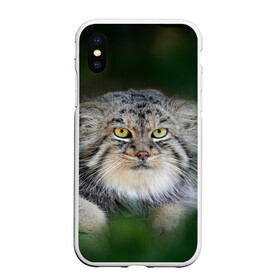 Чехол для iPhone XS Max матовый с принтом Манул в Тюмени, Силикон | Область печати: задняя сторона чехла, без боковых панелей | всеядный | детеныш | дикие | животные | звери | зверята | кот | манул | медведь | хищник
