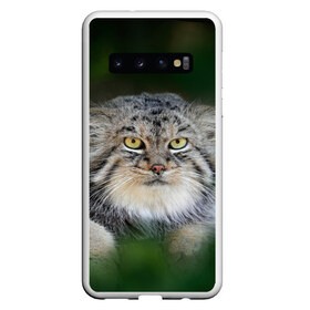 Чехол для Samsung Galaxy S10 с принтом Манул в Тюмени, Силикон | Область печати: задняя сторона чехла, без боковых панелей | Тематика изображения на принте: всеядный | детеныш | дикие | животные | звери | зверята | кот | манул | медведь | хищник