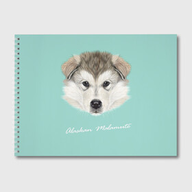 Альбом для рисования с принтом Alaskan Malamute в Тюмени, 100% бумага
 | матовая бумага, плотность 200 мг. | alaskan malamute | dog | puppy | маламут | собака | хаски | щенок
