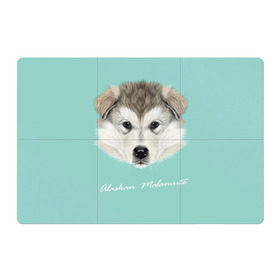 Магнитный плакат 3Х2 с принтом Alaskan Malamute в Тюмени, Полимерный материал с магнитным слоем | 6 деталей размером 9*9 см | alaskan malamute | dog | puppy | маламут | собака | хаски | щенок
