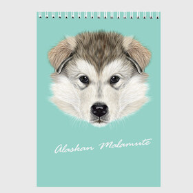 Скетчбук с принтом Alaskan Malamute в Тюмени, 100% бумага
 | 48 листов, плотность листов — 100 г/м2, плотность картонной обложки — 250 г/м2. Листы скреплены сверху удобной пружинной спиралью | alaskan malamute | dog | puppy | маламут | собака | хаски | щенок