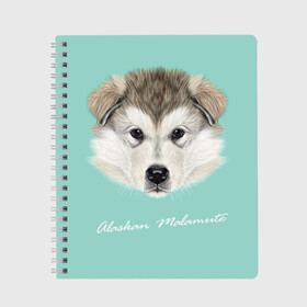 Тетрадь с принтом Alaskan Malamute в Тюмени, 100% бумага | 48 листов, плотность листов — 60 г/м2, плотность картонной обложки — 250 г/м2. Листы скреплены сбоку удобной пружинной спиралью. Уголки страниц и обложки скругленные. Цвет линий — светло-серый
 | alaskan malamute | dog | puppy | маламут | собака | хаски | щенок