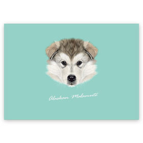 Поздравительная открытка с принтом Alaskan Malamute в Тюмени, 100% бумага | плотность бумаги 280 г/м2, матовая, на обратной стороне линовка и место для марки
 | alaskan malamute | dog | puppy | маламут | собака | хаски | щенок