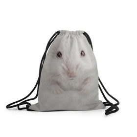 Рюкзак-мешок 3D с принтом Крыса в Тюмени, 100% полиэстер | плотность ткани — 200 г/м2, размер — 35 х 45 см; лямки — толстые шнурки, застежка на шнуровке, без карманов и подкладки | животные | крыса | мордочка | мышка | мышь | природа