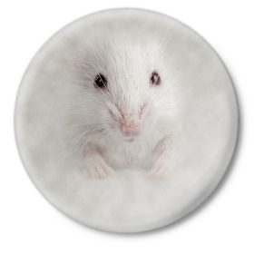 Значок с принтом Крыса в Тюмени,  металл | круглая форма, металлическая застежка в виде булавки | животные | крыса | мордочка | мышка | мышь | природа