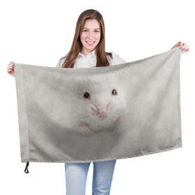 Флаг 3D с принтом Крыса в Тюмени, 100% полиэстер | плотность ткани — 95 г/м2, размер — 67 х 109 см. Принт наносится с одной стороны | животные | крыса | мордочка | мышка | мышь | природа