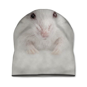 Шапка 3D с принтом Крыса в Тюмени, 100% полиэстер | универсальный размер, печать по всей поверхности изделия | животные | крыса | мордочка | мышка | мышь | природа