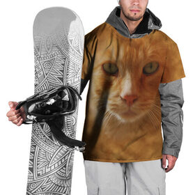 Накидка на куртку 3D с принтом Рыжий котик в Тюмени, 100% полиэстер |  | животные | кот | котенок | котик | кошка | мордочка | рыжий