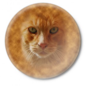 Значок с принтом Рыжий котик в Тюмени,  металл | круглая форма, металлическая застежка в виде булавки | Тематика изображения на принте: животные | кот | котенок | котик | кошка | мордочка | рыжий