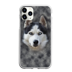 Чехол для iPhone 11 Pro матовый с принтом Хаска в Тюмени, Силикон |  | мордочка | пес | собака | хаска | щенок