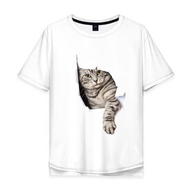 Мужская футболка хлопок Oversize с принтом Кот прорвался в Тюмени, 100% хлопок | свободный крой, круглый ворот, “спинка” длиннее передней части | животные | коты | лапа | прорвался