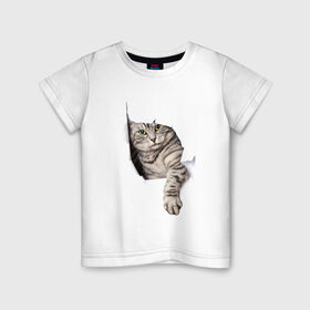 Детская футболка хлопок с принтом Кот прорвался в Тюмени, 100% хлопок | круглый вырез горловины, полуприлегающий силуэт, длина до линии бедер | Тематика изображения на принте: животные | коты | лапа | прорвался