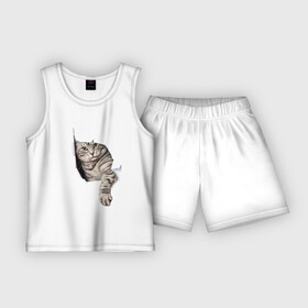 Детская пижама с шортами хлопок с принтом Кот прорвался в Тюмени,  |  | животные | коты | лапа | прорвался