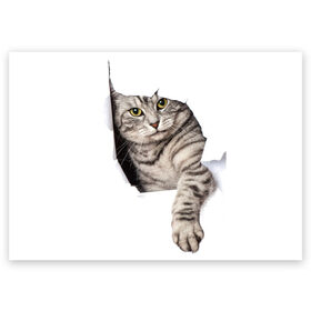 Поздравительная открытка с принтом Кот прорвался в Тюмени, 100% бумага | плотность бумаги 280 г/м2, матовая, на обратной стороне линовка и место для марки
 | Тематика изображения на принте: животные | коты | лапа | прорвался