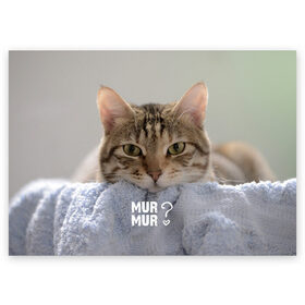 Поздравительная открытка с принтом мур мур в Тюмени, 100% бумага | плотность бумаги 280 г/м2, матовая, на обратной стороне линовка и место для марки
 | cat | кот | котик | котэ | кошка | любовь | мур | мяу | сердечко | сердце