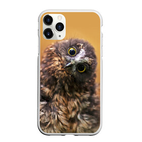 Чехол для iPhone 11 Pro матовый с принтом Совёнок в Тюмени, Силикон |  | взгляд | глаза | клюв | пернатые | перья | прикол | птица | сова | юмор