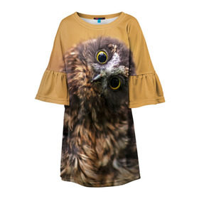Детское платье 3D с принтом Совёнок в Тюмени, 100% полиэстер | прямой силуэт, чуть расширенный к низу. Круглая горловина, на рукавах — воланы | Тематика изображения на принте: взгляд | глаза | клюв | пернатые | перья | прикол | птица | сова | юмор