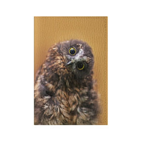 Обложка для паспорта матовая кожа с принтом Совёнок в Тюмени, натуральная матовая кожа | размер 19,3 х 13,7 см; прозрачные пластиковые крепления | взгляд | глаза | клюв | пернатые | перья | прикол | птица | сова | юмор