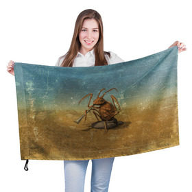 Флаг 3D с принтом Жук с дудкой в Тюмени, 100% полиэстер | плотность ткани — 95 г/м2, размер — 67 х 109 см. Принт наносится с одной стороны | reminor | дудка | жук | курьер