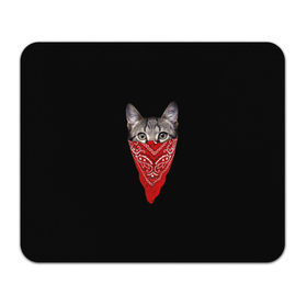 Коврик прямоугольный с принтом Котомафия в Тюмени, натуральный каучук | размер 230 х 185 мм; запечатка лицевой стороны | бандана | гангстер | кот | котик | кошка | мафия
