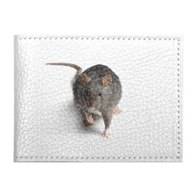 Обложка для студенческого билета с принтом Крыса в Тюмени, натуральная кожа | Размер: 11*8 см; Печать на всей внешней стороне | животные | крыса | мышка | мышь