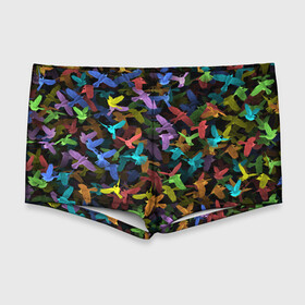 Мужские купальные плавки 3D с принтом Разноцветные птички в Тюмени, Полиэстер 85%, Спандекс 15% |  | ворбьи | куча | паттерн | птица | птицы | радуга | радужный | синцы | стая | текстура