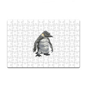 Пазл магнитный 126 элементов с принтом Пингвинопитек в Тюмени, полимерный материал с магнитным слоем | 126 деталей, размер изделия —  180*270 мм | лженаука | пингвин