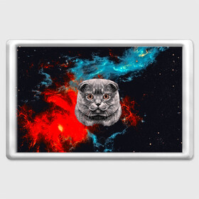 Магнит 45*70 с принтом Космический кот в Тюмени, Пластик | Размер: 78*52 мм; Размер печати: 70*45 | 3d | cat | арт | взгляд | кот | кот хипстер | котёнок | котятки | котятушки | кошечки | кошка | мордочка