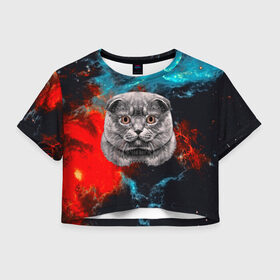 Женская футболка 3D укороченная с принтом Космический кот в Тюмени, 100% полиэстер | круглая горловина, длина футболки до линии талии, рукава с отворотами | 3d | cat | арт | взгляд | кот | кот хипстер | котёнок | котятки | котятушки | кошечки | кошка | мордочка