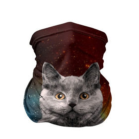 Бандана-труба 3D с принтом Кот в космосе! в Тюмени, 100% полиэстер, ткань с особыми свойствами — Activecool | плотность 150‒180 г/м2; хорошо тянется, но сохраняет форму | Тематика изображения на принте: 3d | cat | арт | взгляд | вселенная | звезды | земля | космос | кот | кот хипстер | котёнок | котятки | котятушки | кошечки | кошка | мордочка | плеяды | пространство | созвездие